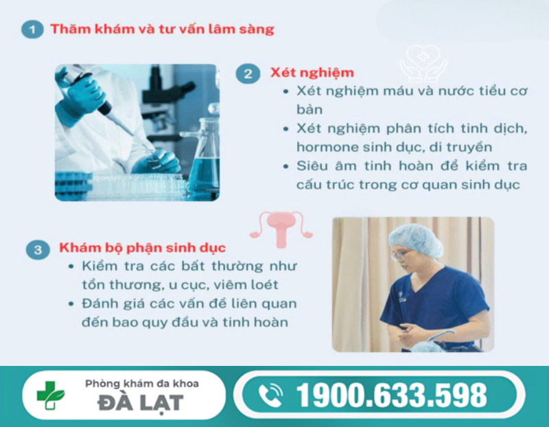 Hình ảnh minh họa